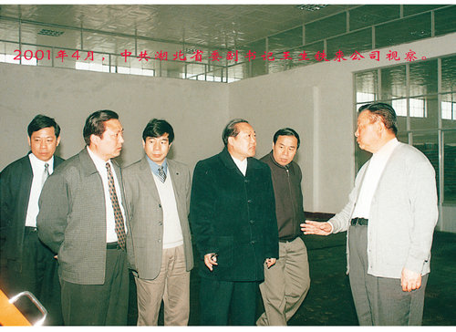 領(lǐng)導視察