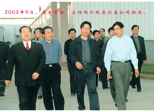領(lǐng)導視察